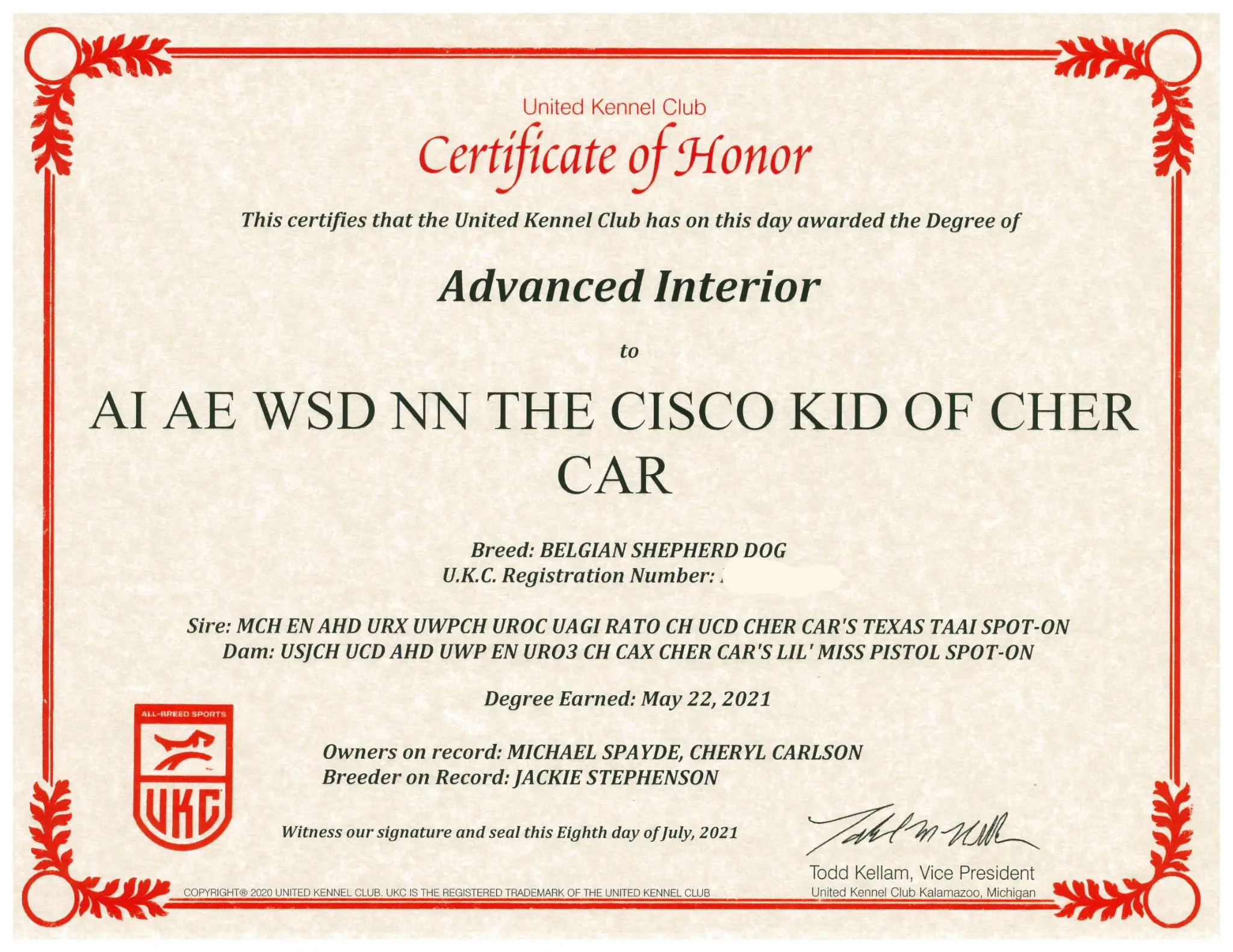 Advanced Interior (AI)