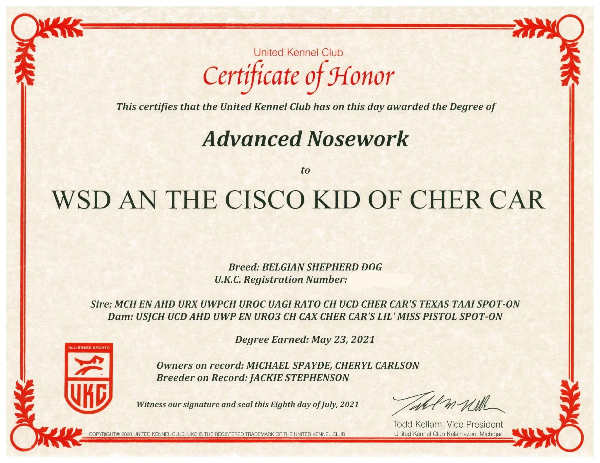 Advanced Nosework (AN)