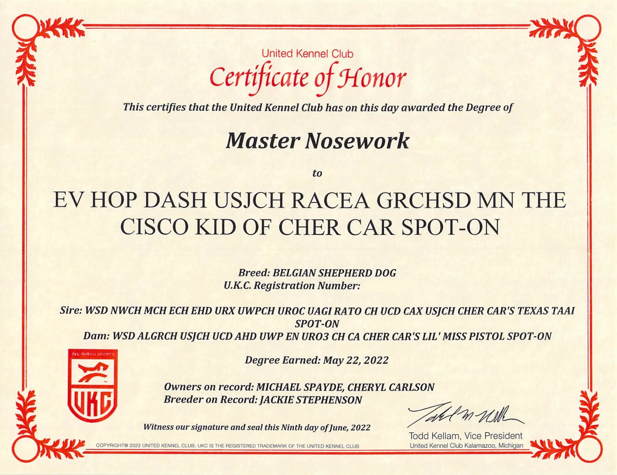 Master Nosework (MN)