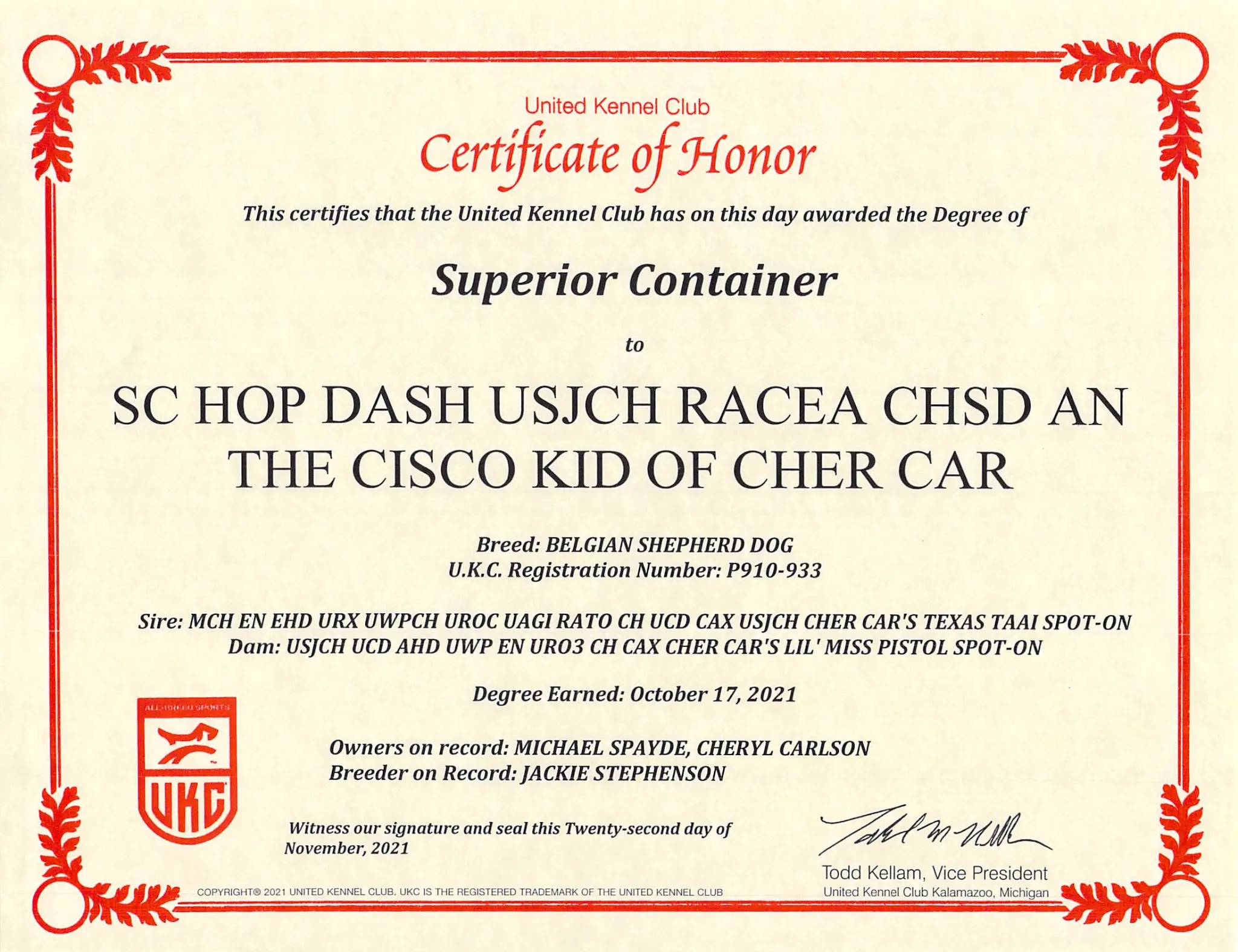 Senior Champion (SC)