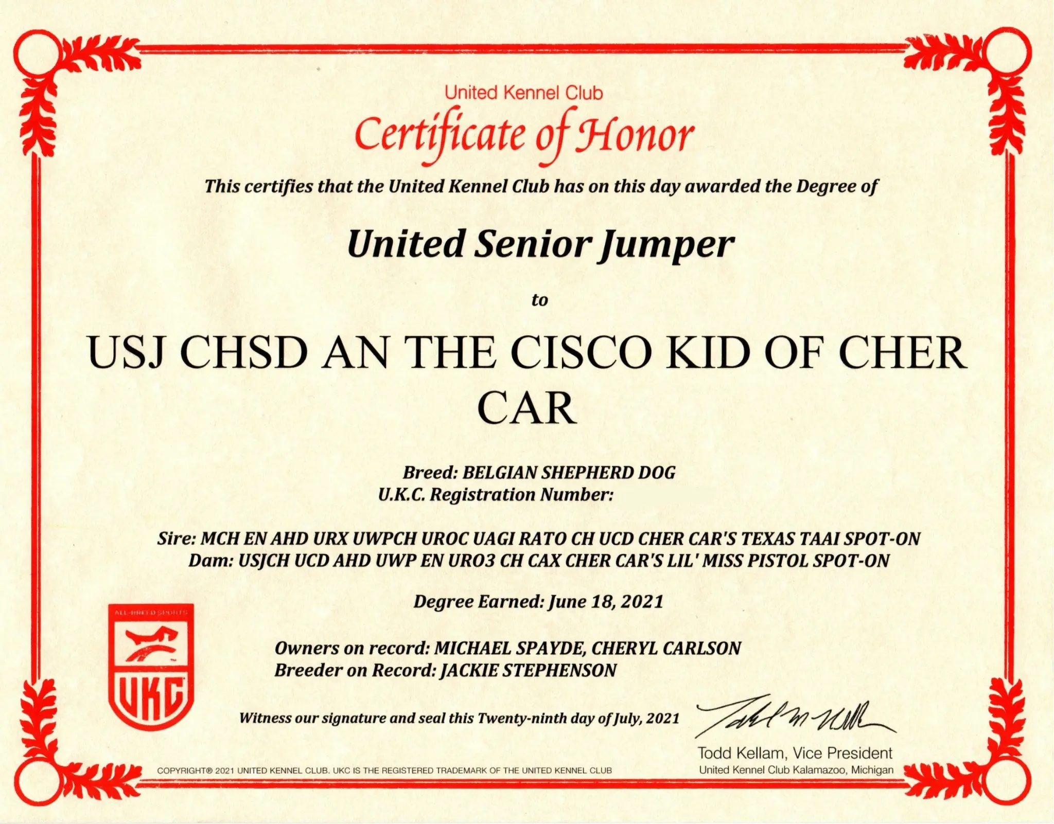 United Senior Jumper (USJ)