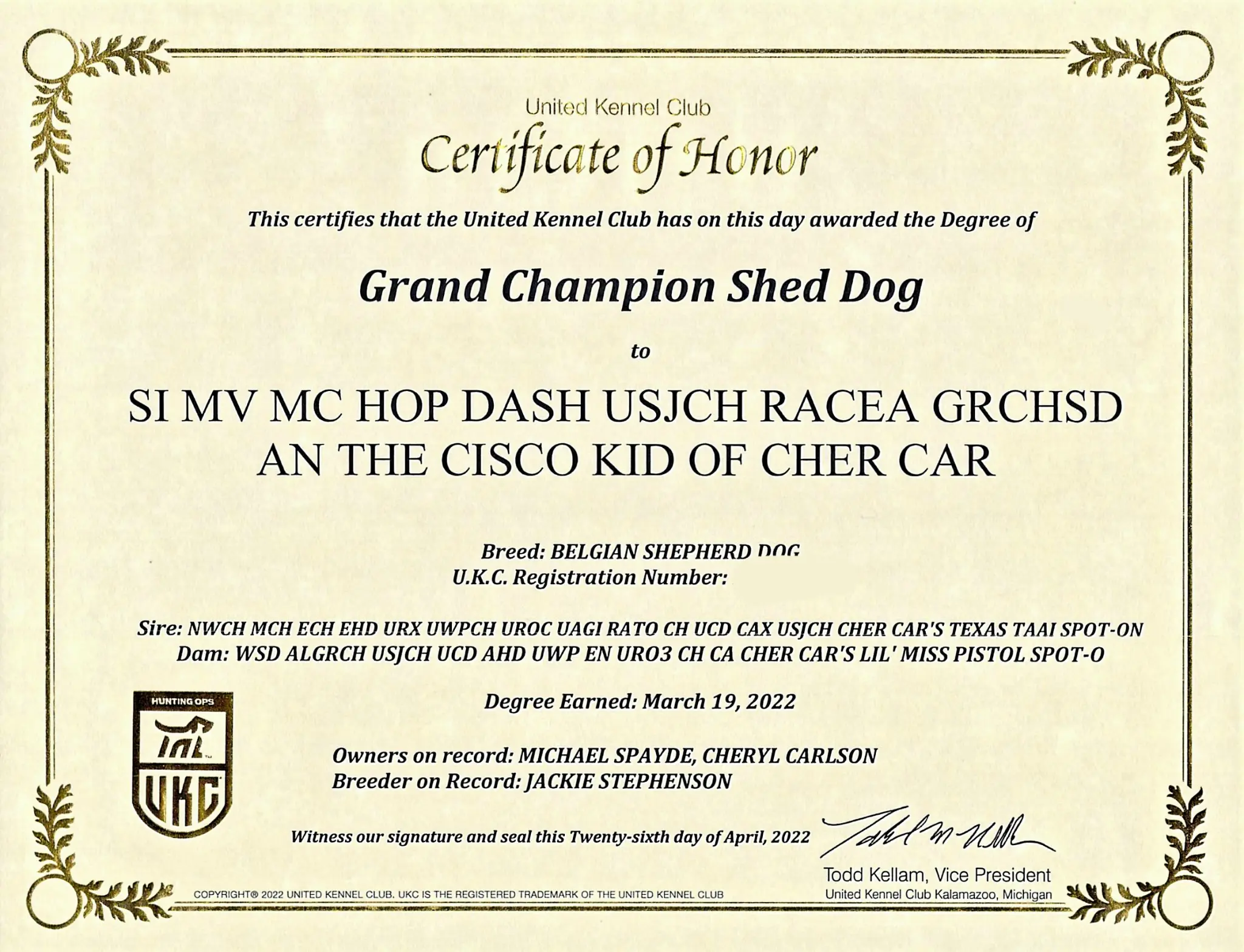 Grand Champion Shed Dog (GRCHSD)