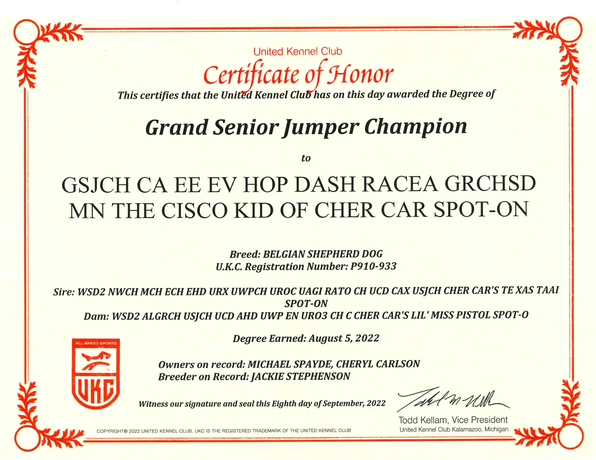 Grand Senior Jumper Champion (GSJCH)